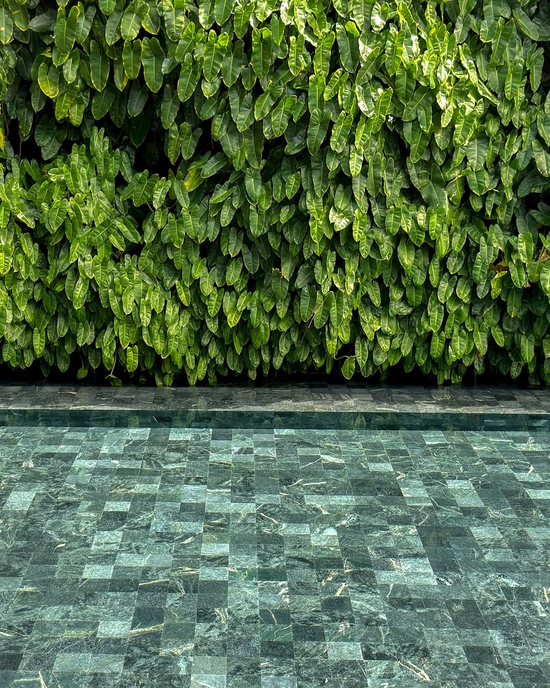 Área verde corporativa